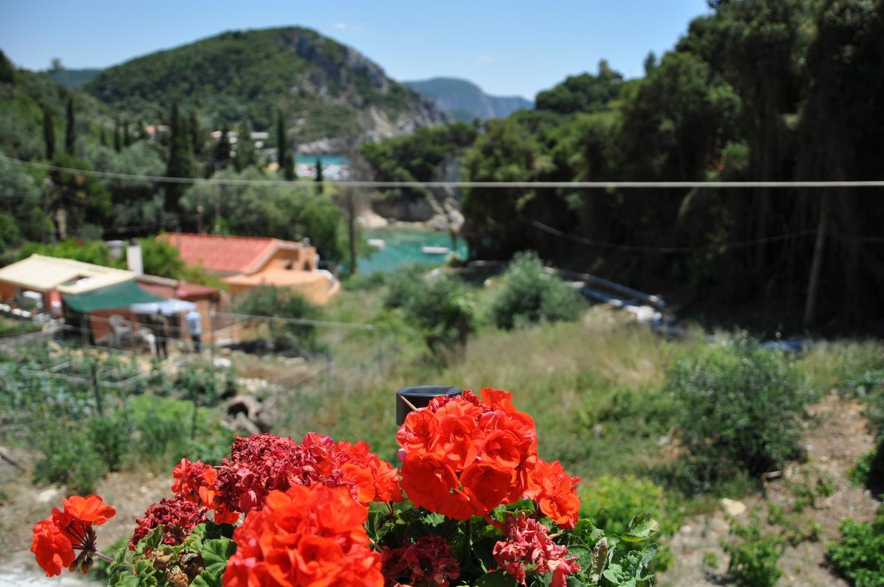 Apartament Ponte Rossa Paleokastritsa